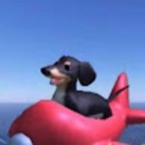 Meet your Posher, Dylan